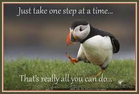 one step at a time (6)